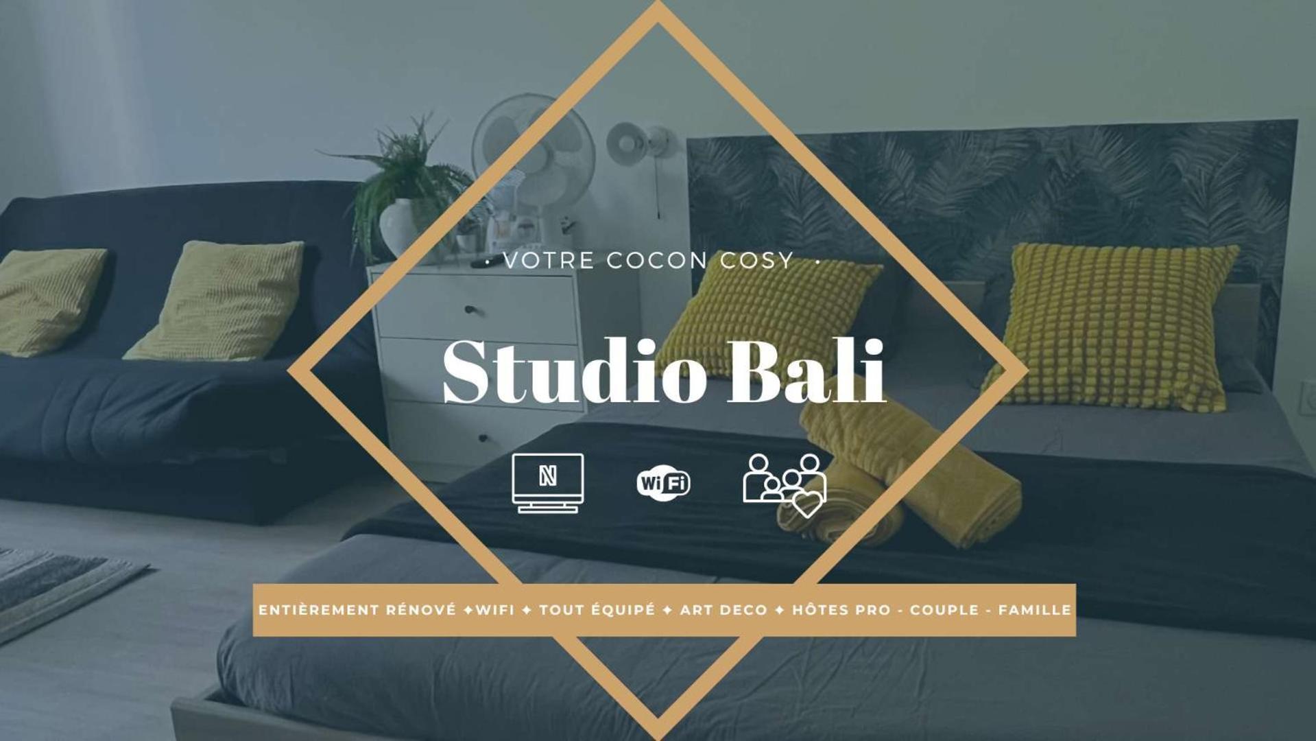 Studios Cozy Proche Gare Tgv Chatellerault Exterior photo